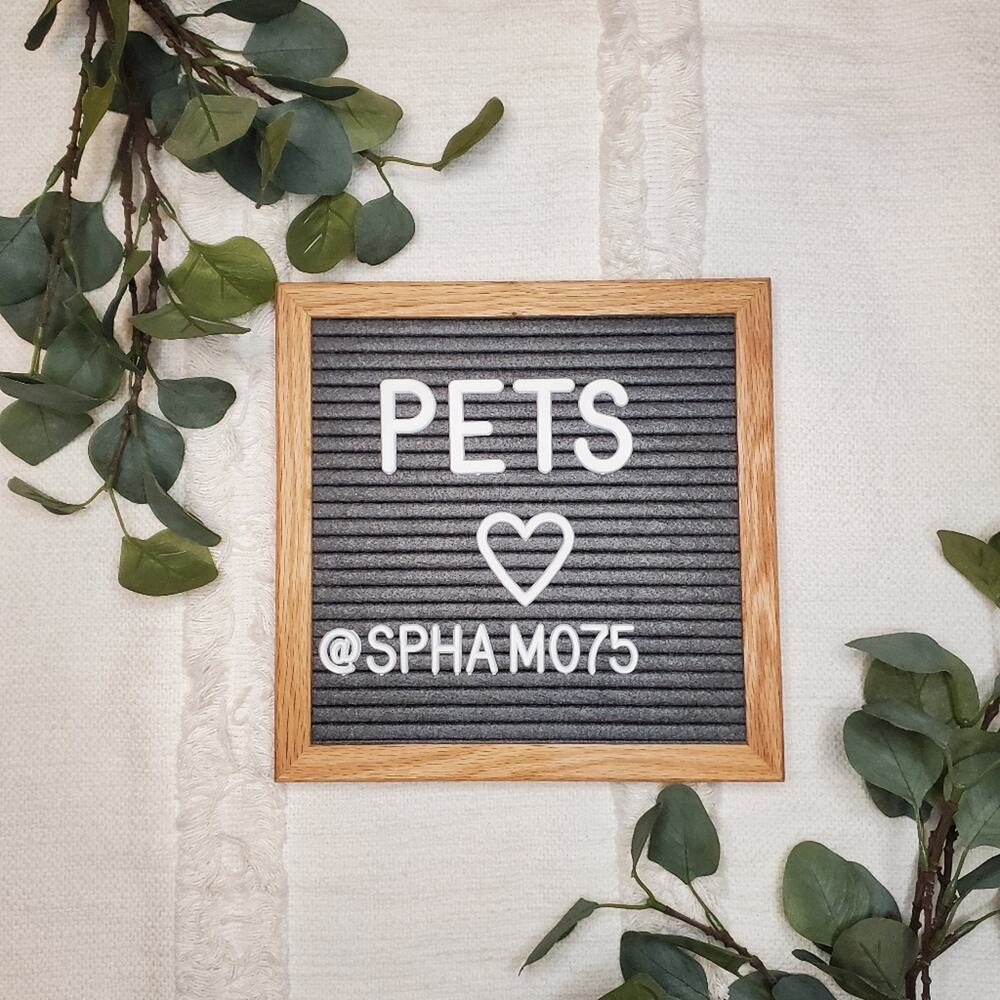 Pet Section 🐈😻🐾